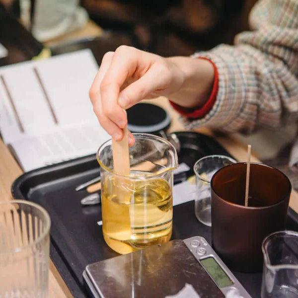 The History of Fragrance: Ancient Aromas and Their Modern Appeal