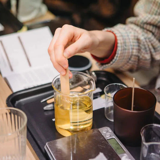 The History of Fragrance: Ancient Aromas and Their Modern Appeal