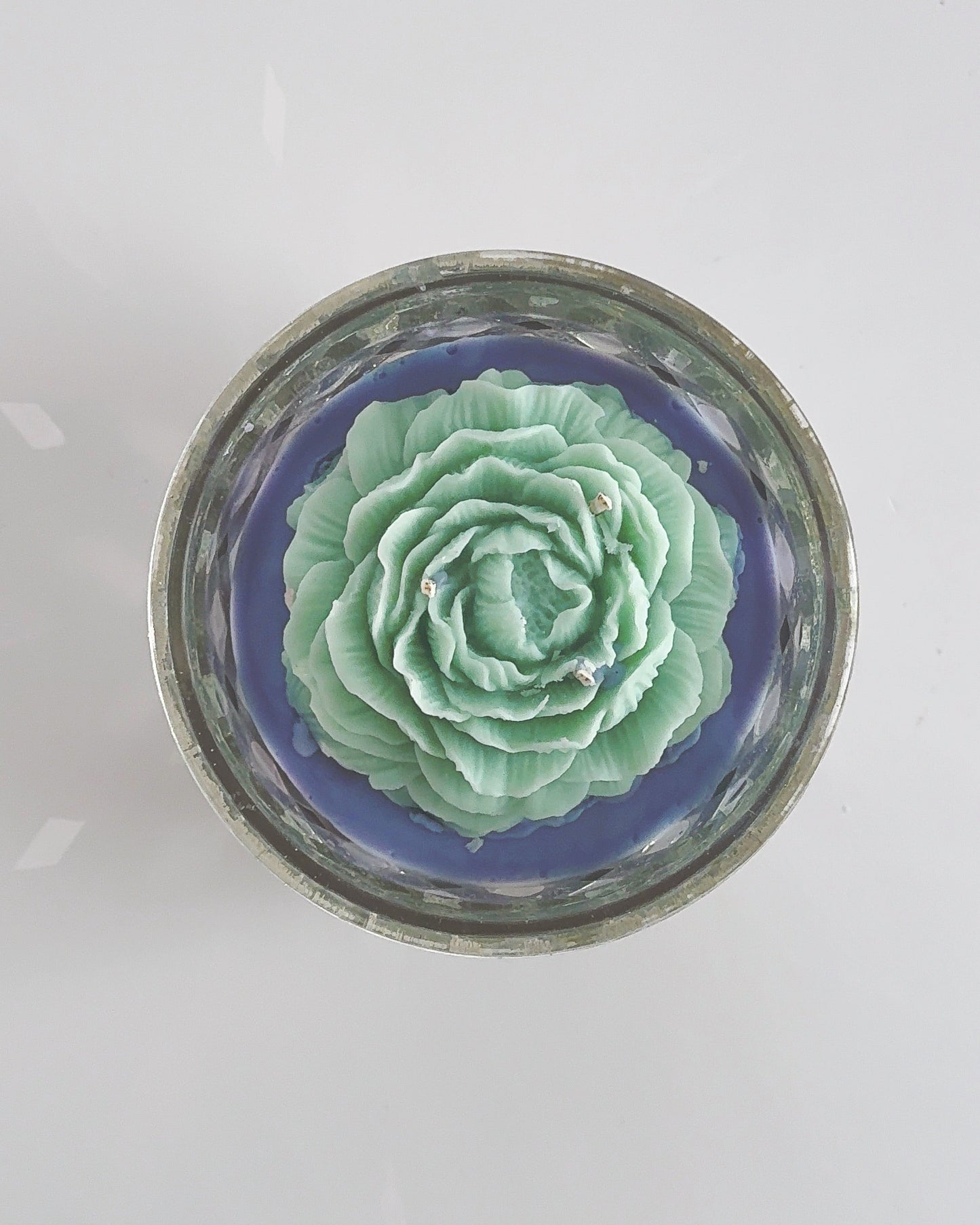 Green succulent wax flower in a glass mosaic container on a white background