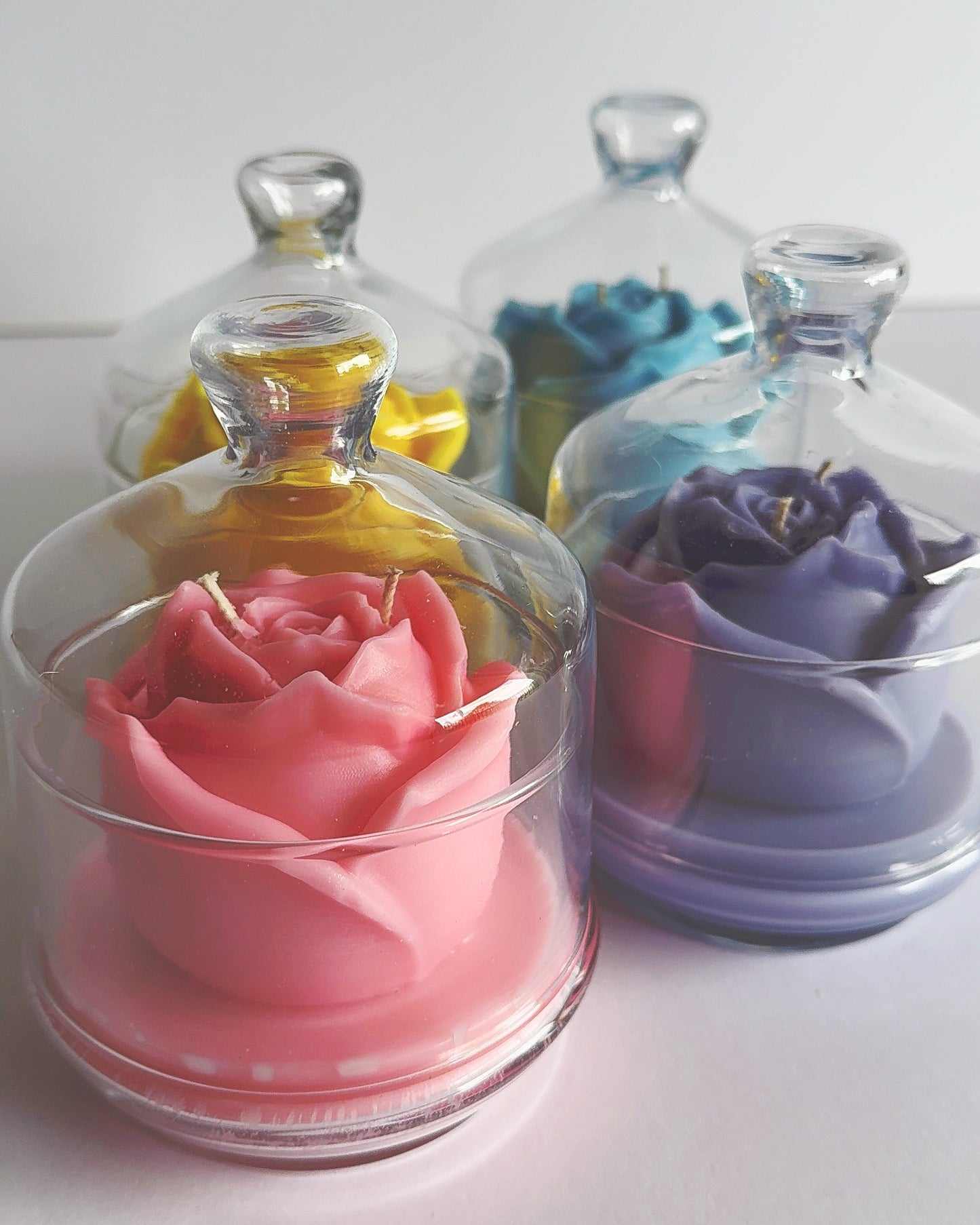 Four glass dish with cloche dome with colorful rose-shaped candles 