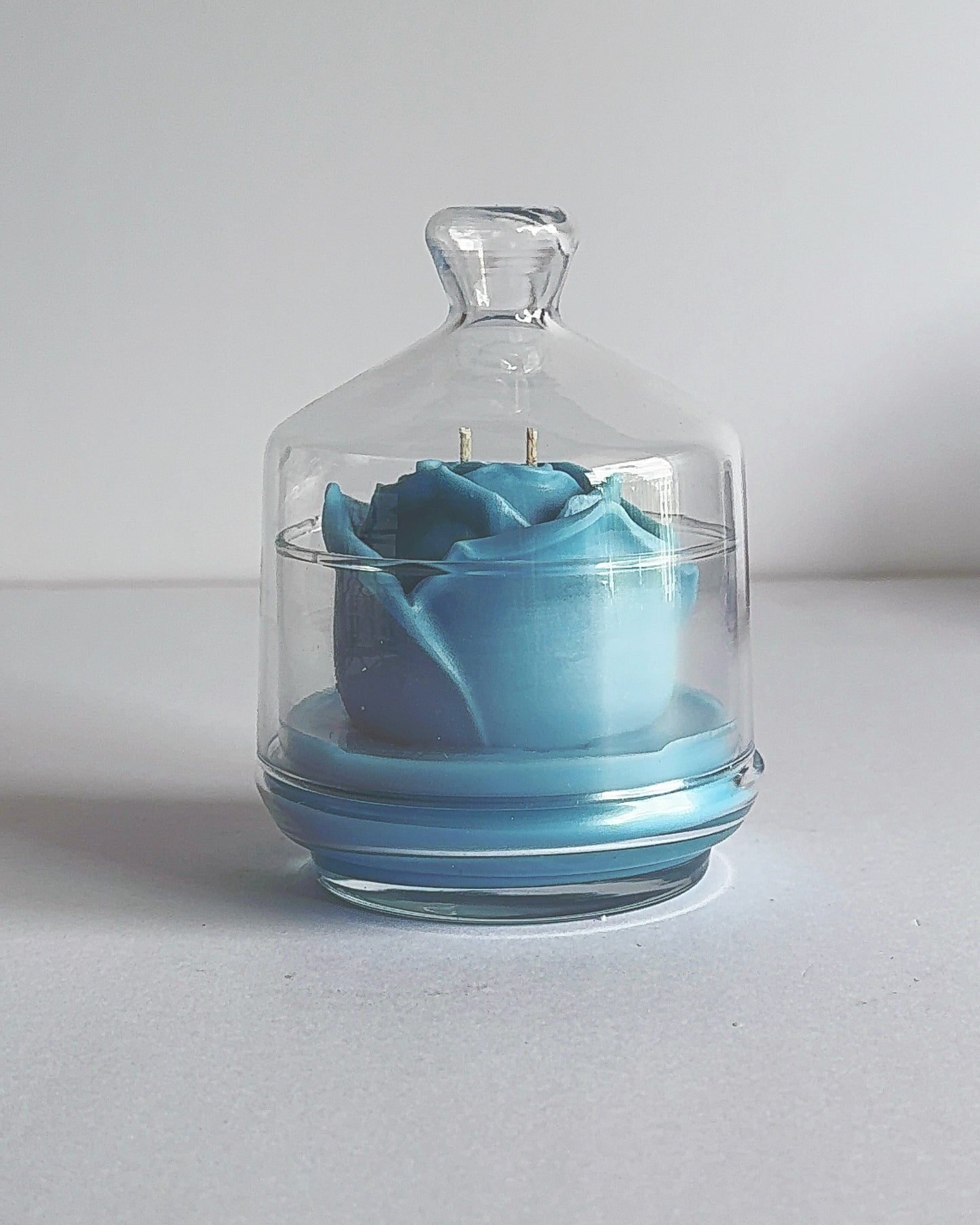 Blue rose inside a glass dome on a white background