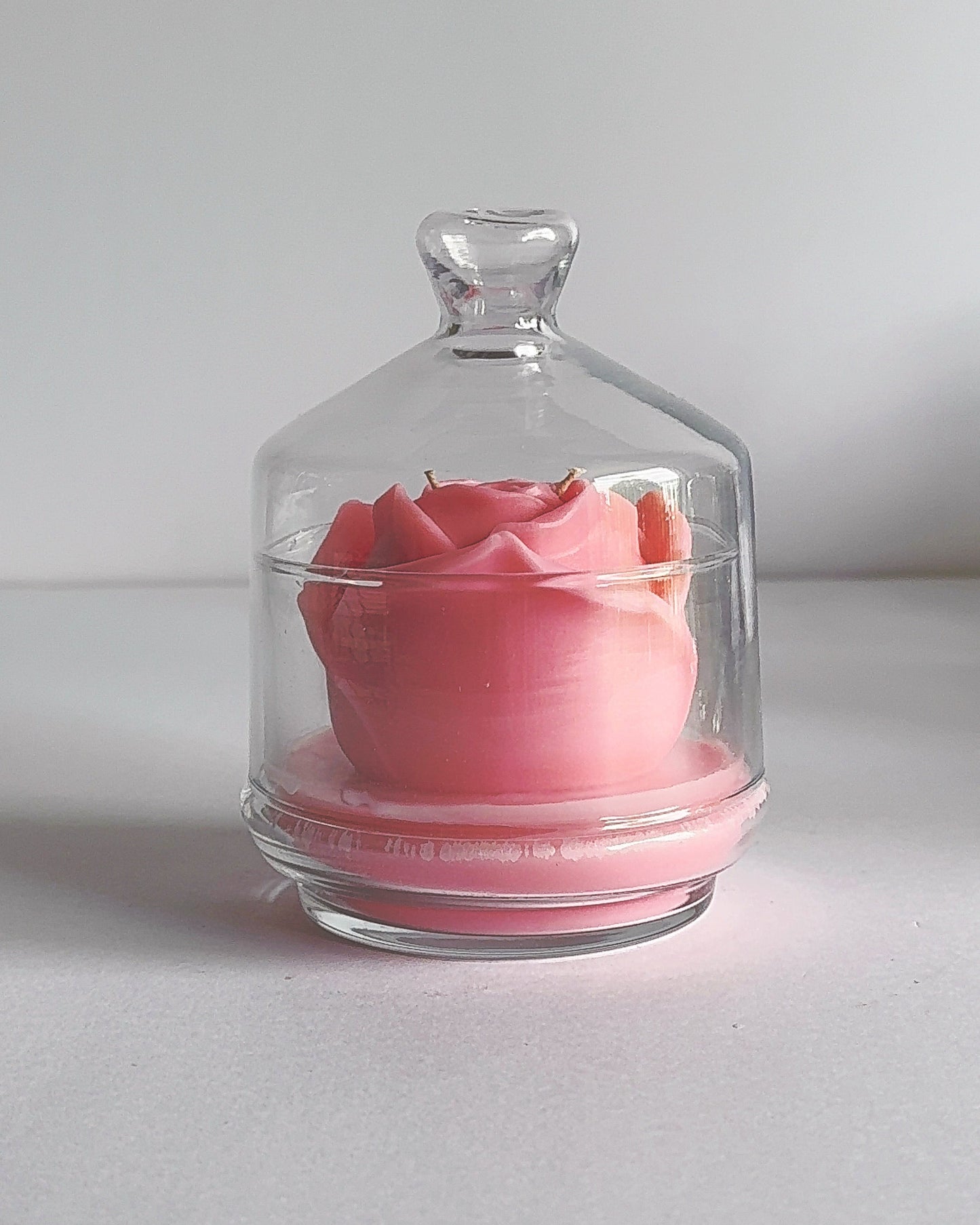 Spring theme pink rose candle inside a glass dome on a white background