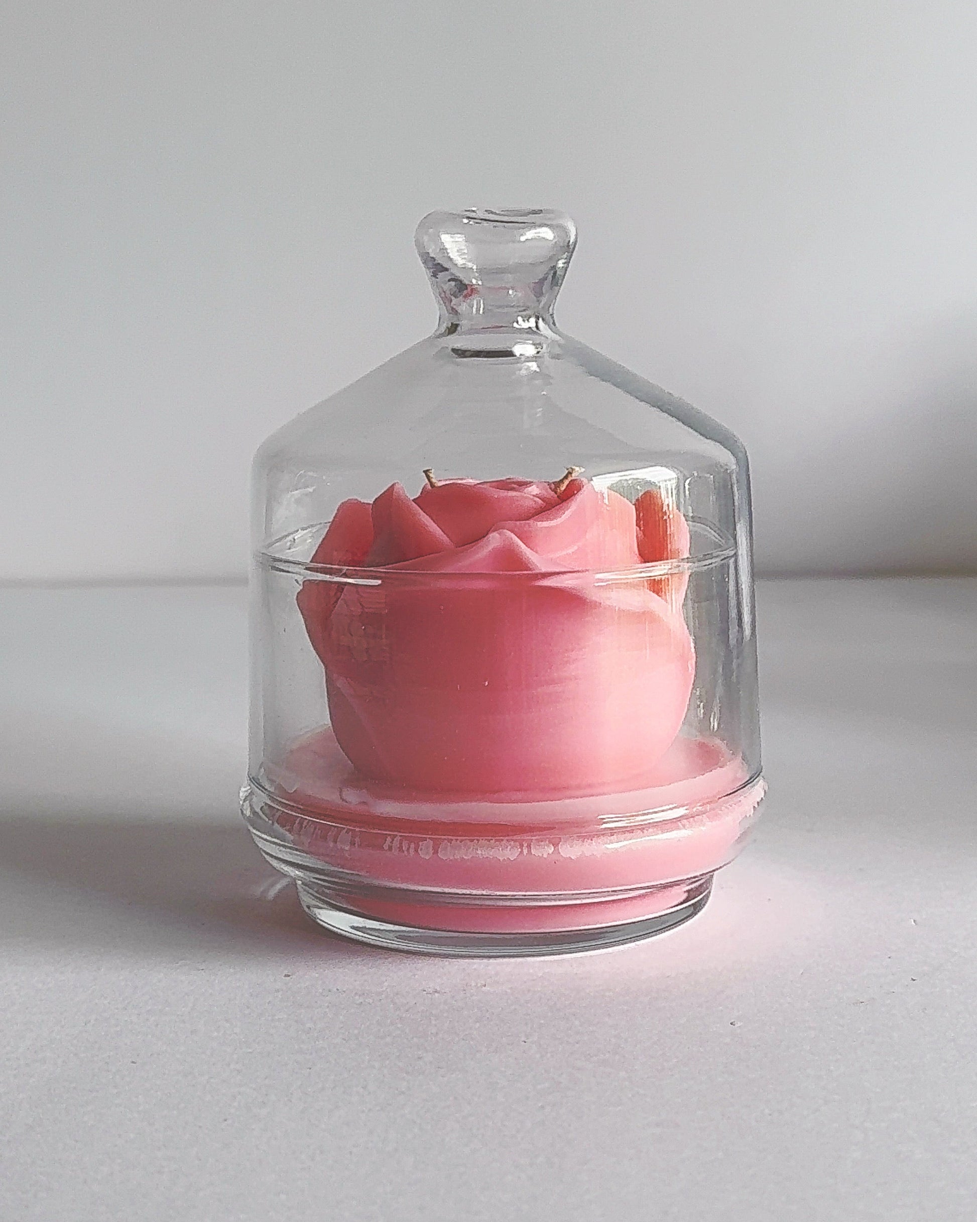 Spring theme pink rose candle inside a glass dome on a white background