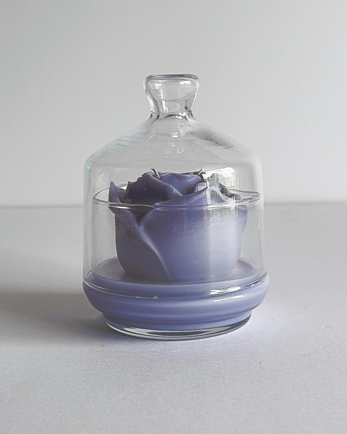Spring theme purple rose candle inside a glass dome on a white background
