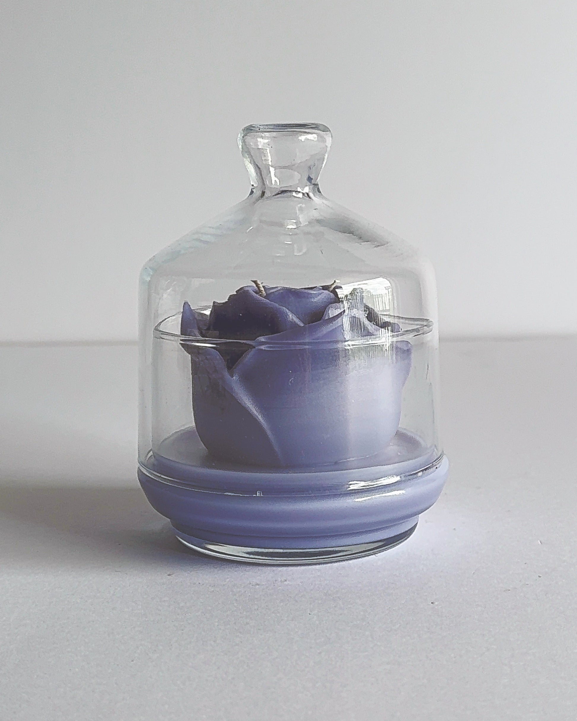 Spring theme purple rose candle inside a glass dome on a white background